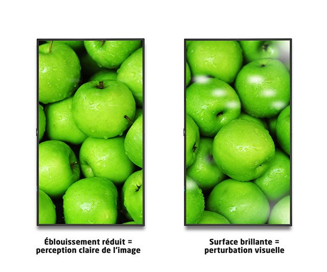 ApplesToApples-3_fr